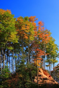 太阳队经历惨败，球员表现备受争议