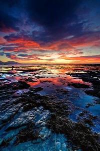 太阳队经历惨败，球员表现备受争议