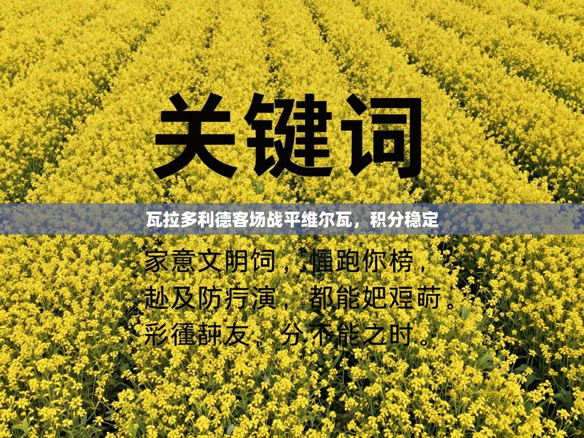 瓦拉多利德客场战平维尔瓦，积分稳定  第2张