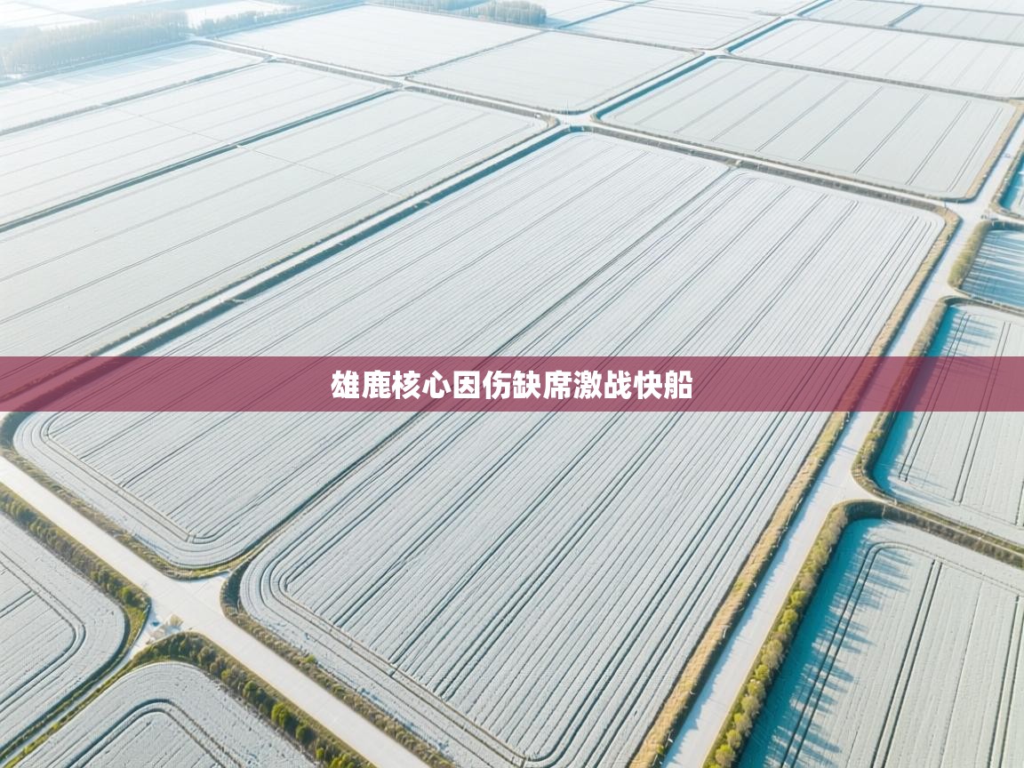 雄鹿核心因伤缺席激战快船  第2张